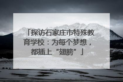 探访石家庄市特殊教育学校：为每个梦想，都插上“翅膀”