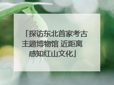 探访东北首家考古主题博物馆 近距离感知红山文化