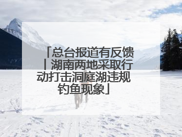 总台报道有反馈丨湖南两地采取行动打击洞庭湖违规钓鱼现象