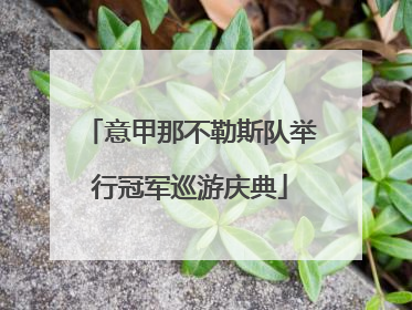 意甲那不勒斯队举行冠军巡游庆典