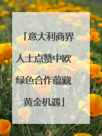意大利商界人士点赞中欧绿色合作蕴藏黄金机遇