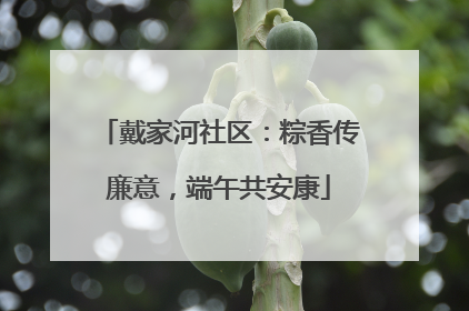 戴家河社区：粽香传廉意，端午共安康