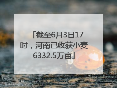 截至6月3日17时，河南已收获小麦6332.5万亩