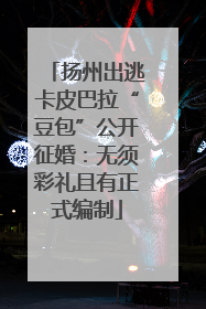 扬州出逃卡皮巴拉“豆包”公开征婚：无须彩礼且有正式编制