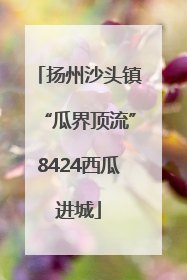 扬州沙头镇“瓜界顶流”8424西瓜进城