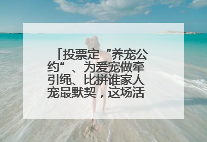 投票定“养宠公约”、为爱宠做牵引绳、比拼谁家人宠最默契，这场活动有趣更有意义