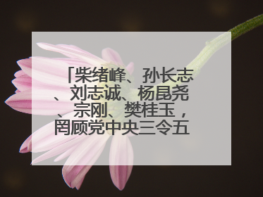 柴绪峰、孙长志、刘志诚、杨昆尧、宗刚、樊桂玉，罔顾党中央三令五申，不知敬畏、我行我素、肆意妄为！