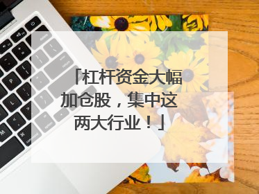 杠杆资金大幅加仓股，集中这两大行业！