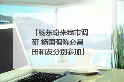 杨东奇来我市调研 杨国强陈必昌田和友分别参加