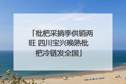 枇杷采摘季供销两旺 四川宝兴晚熟枇杷冷链发全国