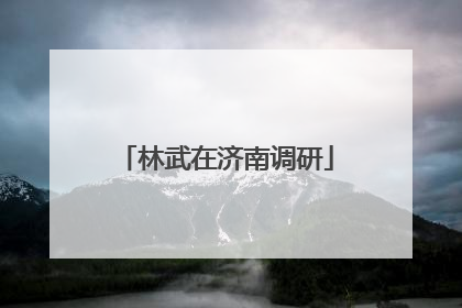 林武在济南调研