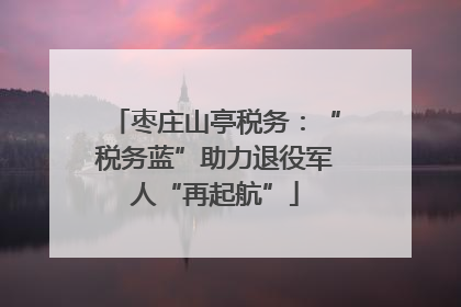 枣庄山亭税务：“税务蓝”助力退役军人“再起航”