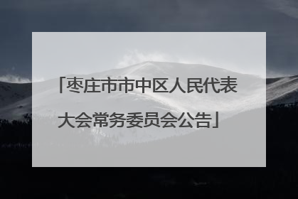 枣庄市市中区人民代表大会常务委员会公告
