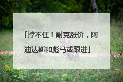 撑不住！耐克涨价，阿迪达斯和彪马或跟进