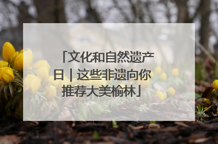 文化和自然遗产日｜这些非遗向你推荐大美榆林