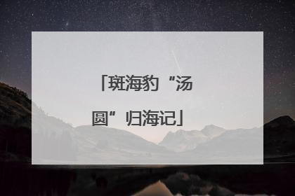 斑海豹“汤圆”归海记