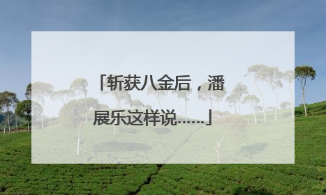 斩获八金后，潘展乐这样说……