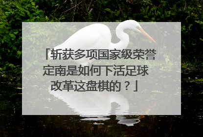 斩获多项国家级荣誉 定南是如何下活足球改革这盘棋的？
