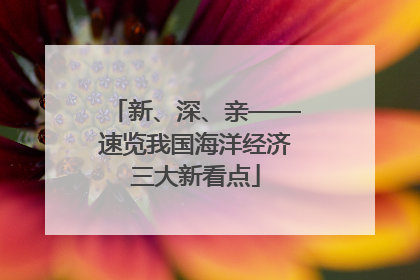 新、深、亲——速览我国海洋经济三大新看点