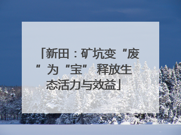 新田：矿坑变“废”为“宝” 释放生态活力与效益