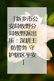 新乡市公安局牧野分局牧野派出所：深耕主防警务 守护辖区平安