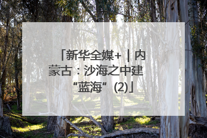 新华全媒+｜内蒙古：沙海之中建“蓝海”(2)