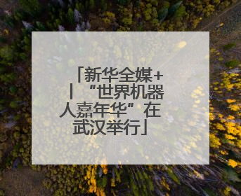 新华全媒+丨“世界机器人嘉年华”在武汉举行