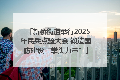 新桥街道举行2025年民兵点验大会 锻造国防建设“拳头力量”