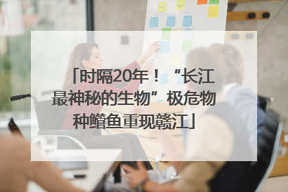 时隔20年！“长江最神秘的生物”极危物种鳤鱼重现赣江