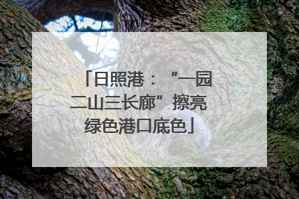 日照港：“一园二山三长廊”擦亮绿色港口底色