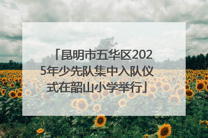 昆明市五华区2025年少先队集中入队仪式在韶山小学举行