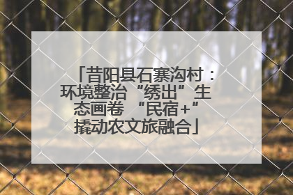 昔阳县石寨沟村：环境整治“绣出”生态画卷 “民宿+”撬动农文旅融合