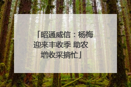昭通威信：杨梅迎来丰收季 助农增收采摘忙