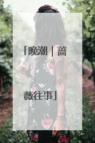 晚潮｜蔷薇往事