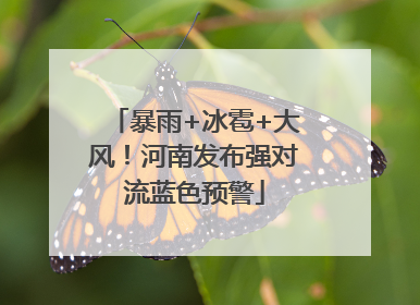 暴雨+冰雹+大风！河南发布强对流蓝色预警
