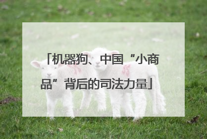 机器狗、中国“小商品”背后的司法力量
