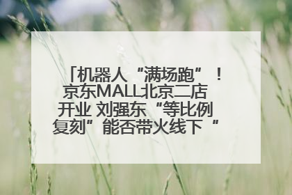 机器人“满场跑”！京东MALL北京二店开业 刘强东“等比例复刻”能否带火线下“618”？