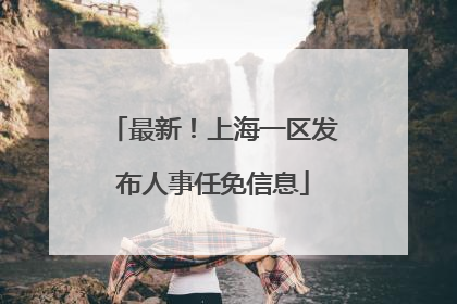 最新！上海一区发布人事任免信息