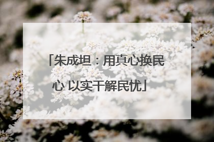 朱成坦：用真心换民心 以实干解民忧