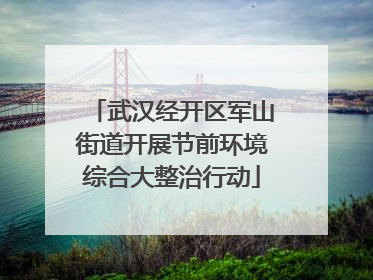 武汉经开区军山街道开展节前环境综合大整治行动