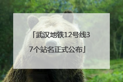 武汉地铁12号线37个站名正式公布