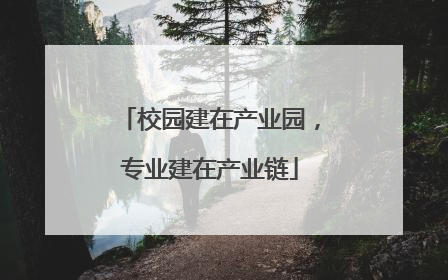 校园建在产业园，专业建在产业链