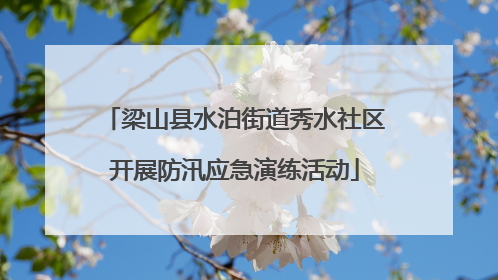 梁山县水泊街道秀水社区开展防汛应急演练活动