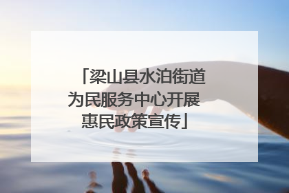 梁山县水泊街道为民服务中心开展惠民政策宣传