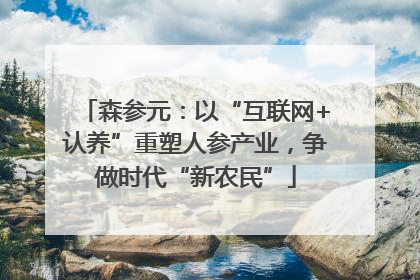森参元：以“互联网+认养”重塑人参产业，争做时代“新农民”