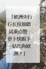 欧洲央行行长拉加德试乘点赞：萝卜快跑下一站出海欧洲？