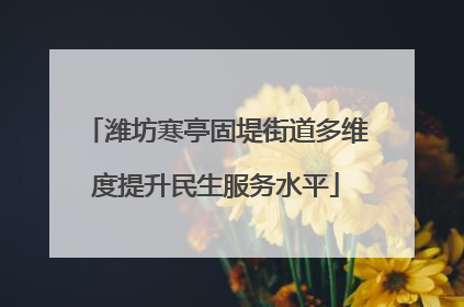 潍坊寒亭固堤街道多维度提升民生服务水平
