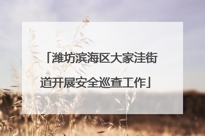 潍坊滨海区大家洼街道开展安全巡查工作