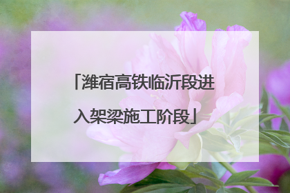 潍宿高铁临沂段进入架梁施工阶段