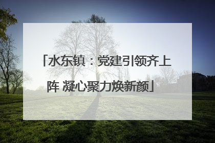 水东镇：党建引领齐上阵 凝心聚力焕新颜